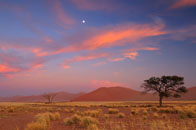 Daniel_Jara_DSC8640-Namibia.jpg